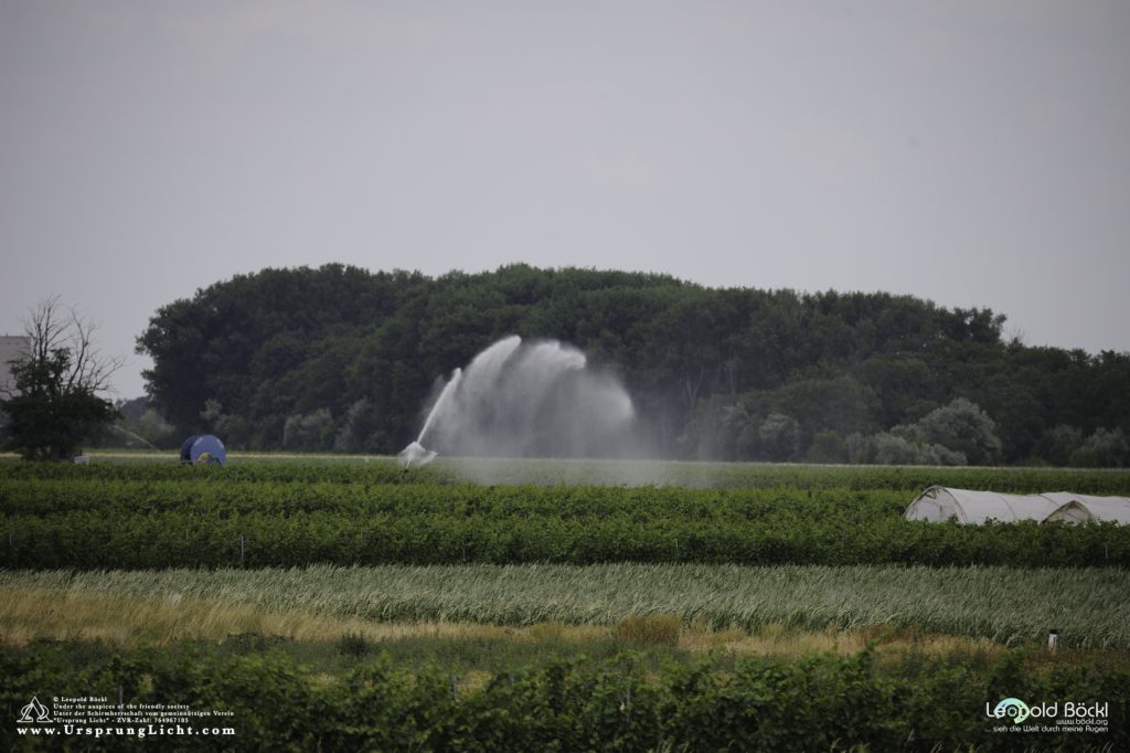 Bewässerungsanlagen von Feldern mit dieselbetriebenen Grundwasserpumpen im Nationalpark Neusiedlersee