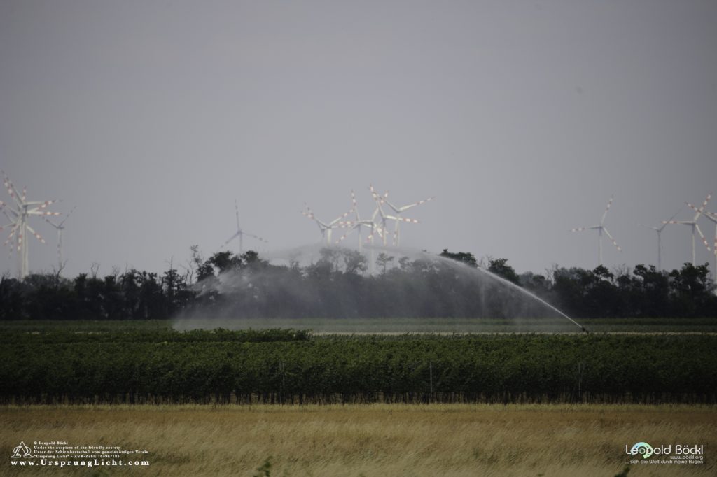 Bewässerungsanlagen von Feldern mit dieselbetriebenen Grundwasserpumpen im Nationalpark Neusiedlersee