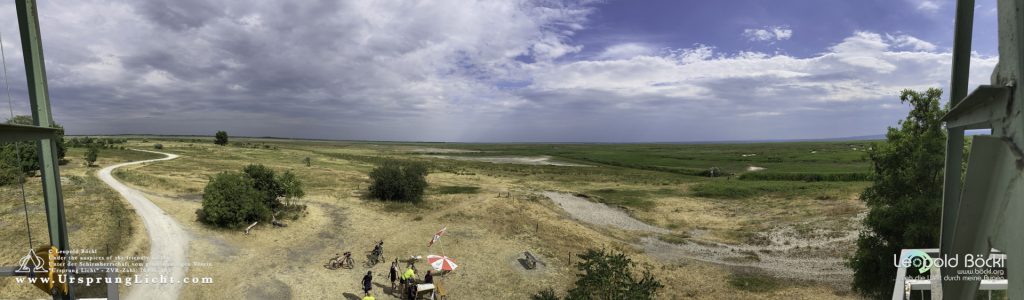 Ausblick vom Wachturm Sandeck bei Illmitz im Nationalpark Neusiedlersee