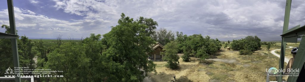 Ausblick vom Wachturm Sandeck bei Illmitz im Nationalpark Neusiedlersee