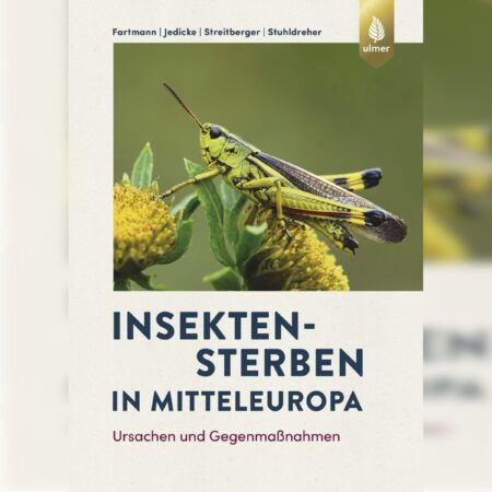Insektensterben in Mitteleuropa