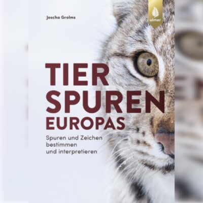 Tierspuren Europas. Spuren und Zeichen bestimmen und interpretieren