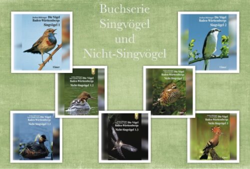 Sing & Nichtsingvögel