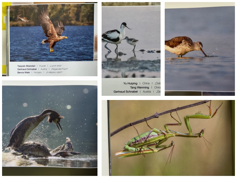 Beispielfotos aus dem Buch aufgenommen, © Gertraud Schnabel